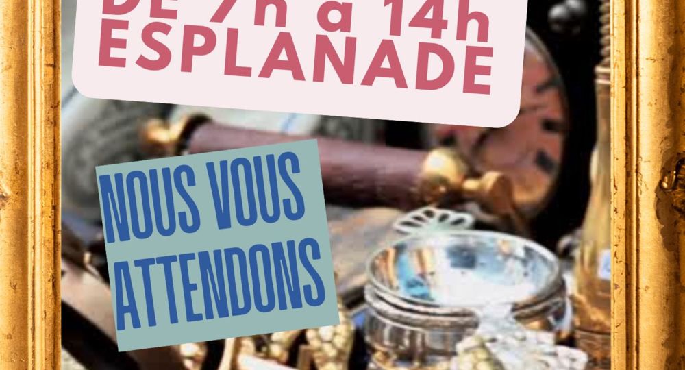 Vide-grenier des familles_Uzès