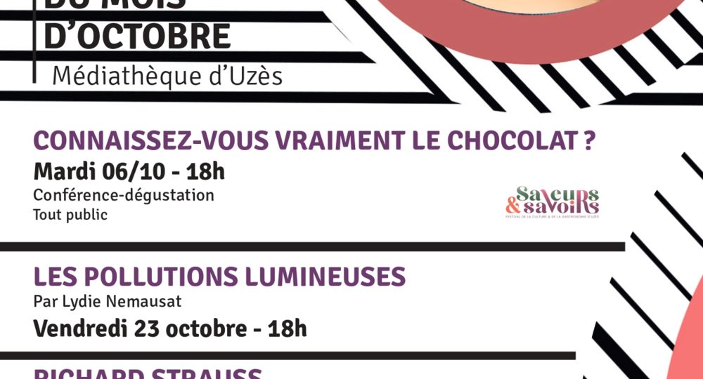 Conférence : les pollutions lumineuses