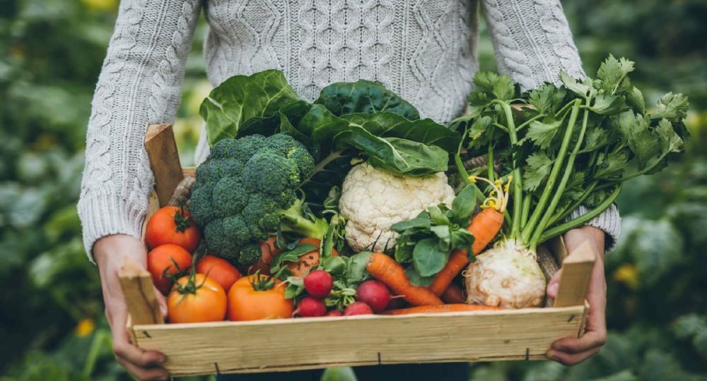 Alimentation saine & gourmande