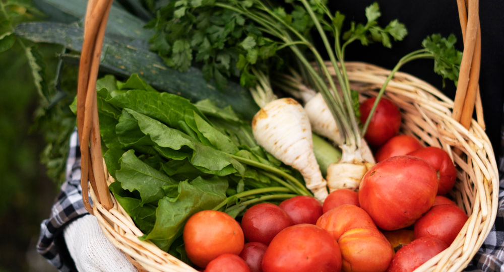 Marché de Sauve_Sauve