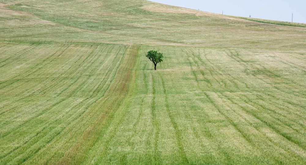 Exposition «Metamorphosis»_Villeneuve-lez-Avignon