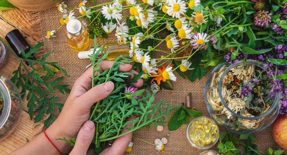 Conférence sur la naturopathie