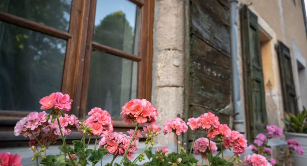 Gîte le Mûrier - Domaine de la Clédette_Colognac