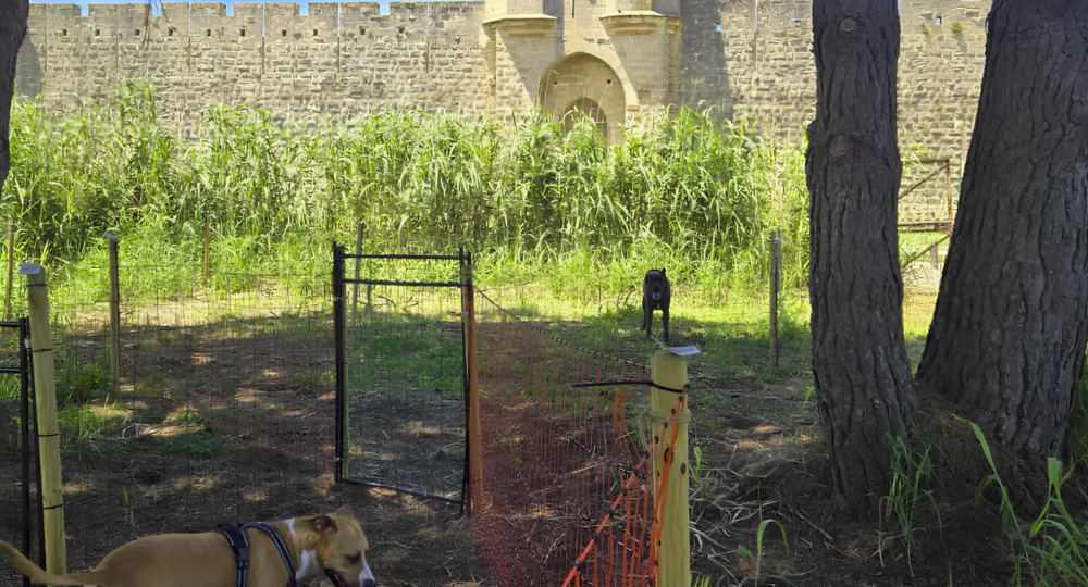 RécréaDog : parc à chiens_Aigues-Mortes