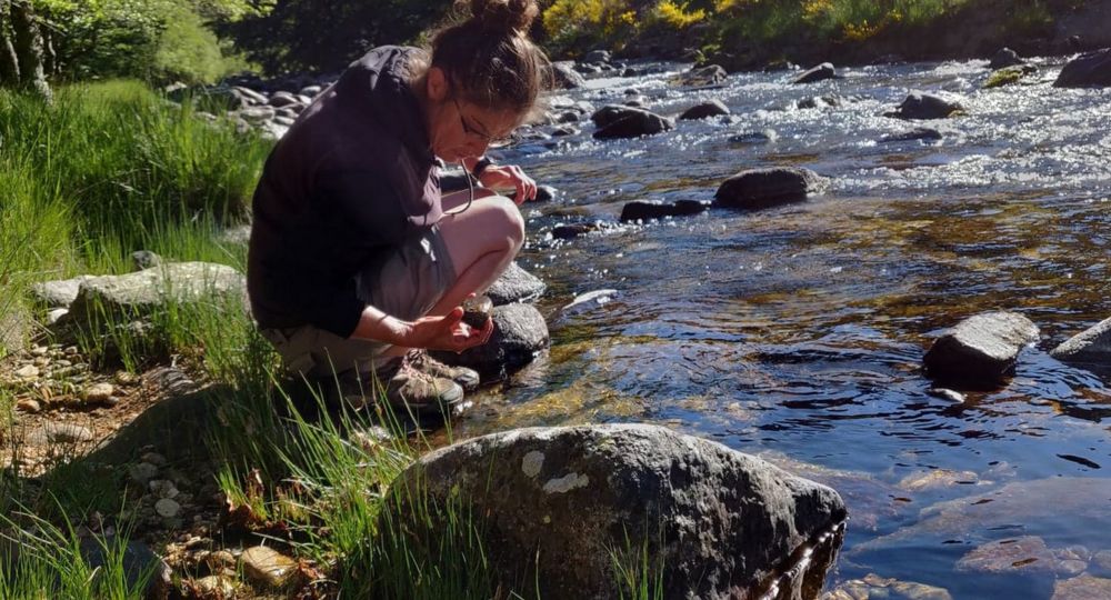 Un Été à la Maison de l'Eau_Les Plantiers