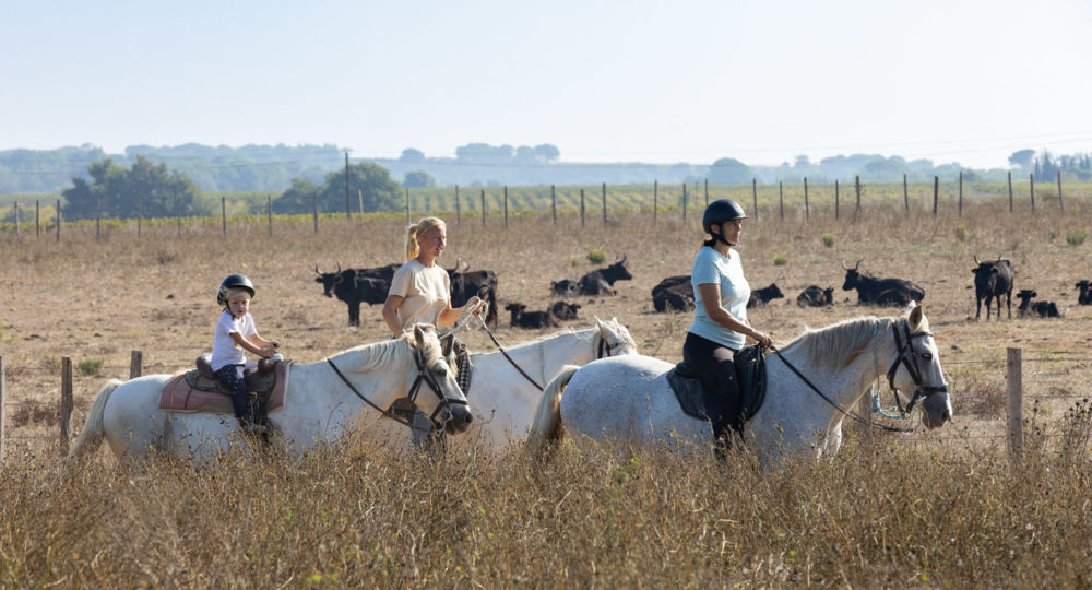 A cheval chez Théo_Beauvoisin