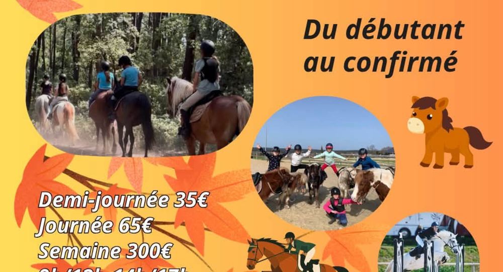 Stage - Centre équestre et poney club_Vallabrix