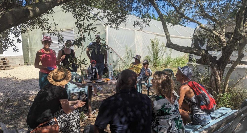 Atelier Super Smoothie