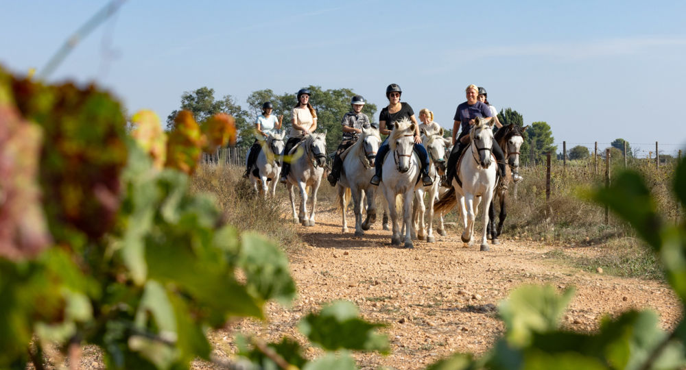 A cheval chez Théo_Beauvoisin