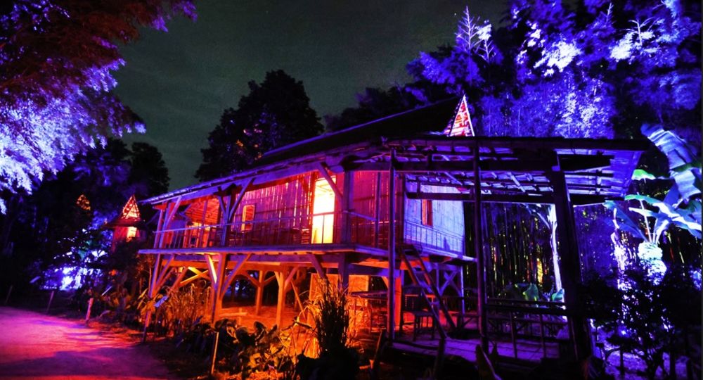 JEP 2026 : Spectacle nocturne à la Bambouseraie_Générargues