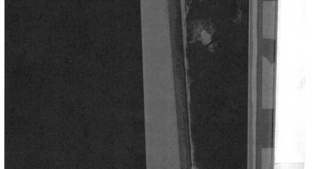 Exposition Mur Foster : Sylvain Fraisse, Le désastre prend soin de tout_Nîmes