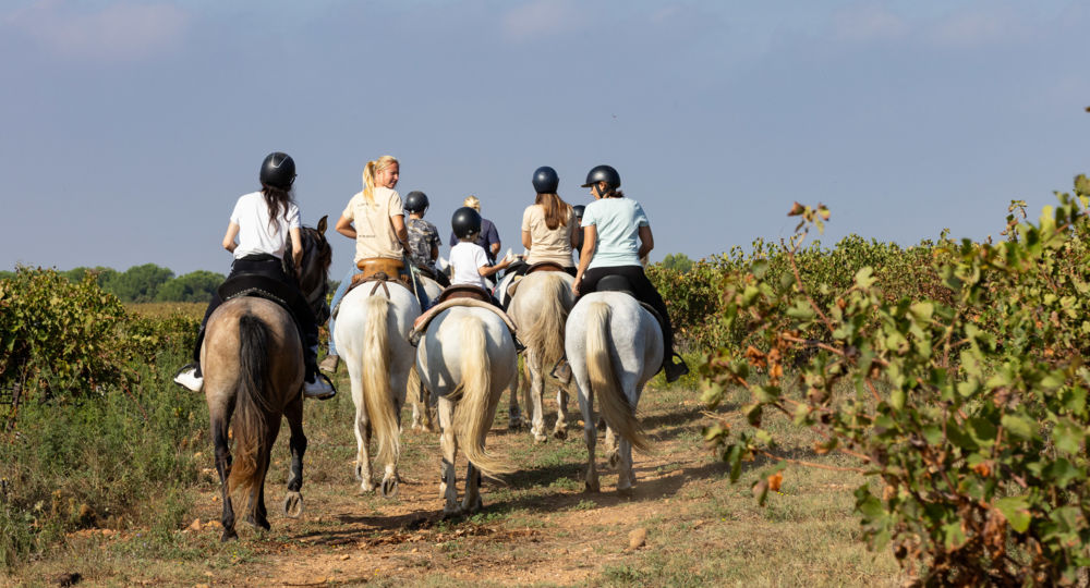 A cheval chez Théo_Beauvoisin