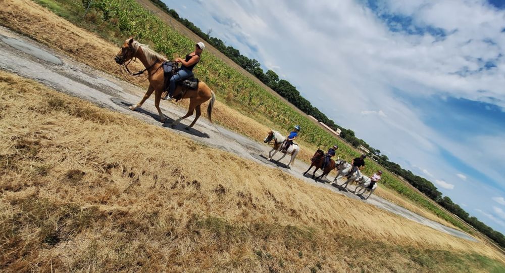 Balades familiale à cheval - Les Poneys d'Aurel_Junas