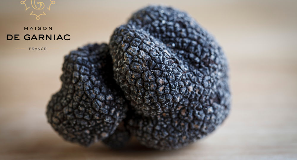 Maison de Garniac - Producteur de Truffe