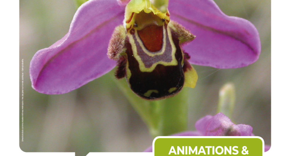 Rendez-vous Nature - Animations et balades Nature gratuites