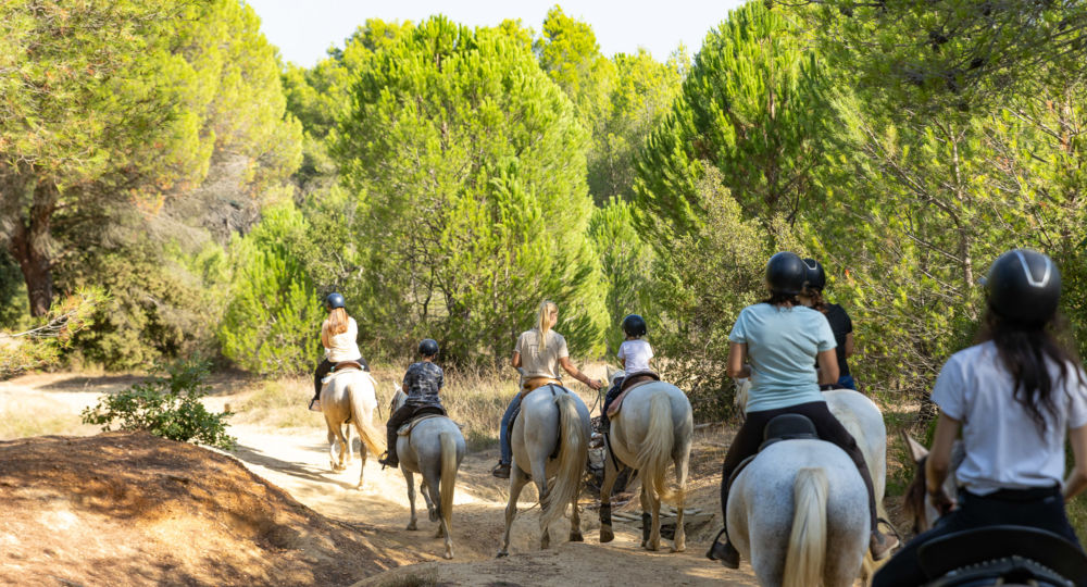 A cheval chez Théo_Beauvoisin