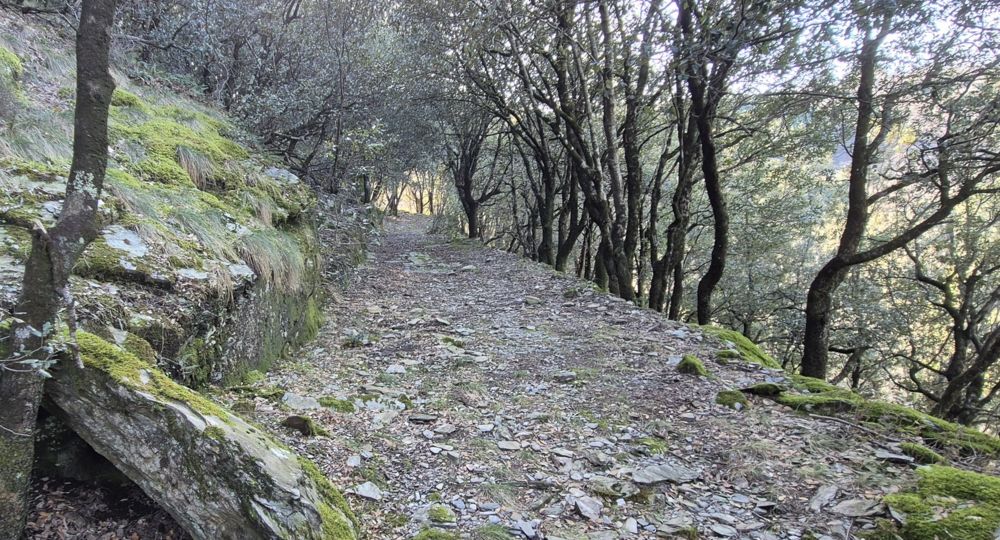 Sentier de la Fare_Saint-André-de-Valborgne