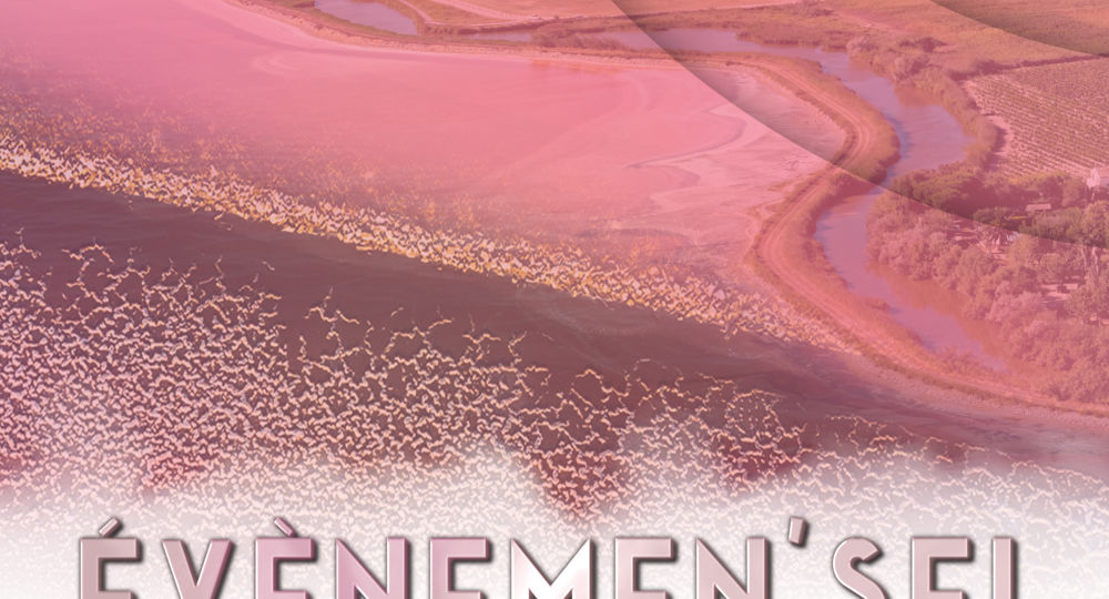Évènement'Sel_Aigues-Mortes
