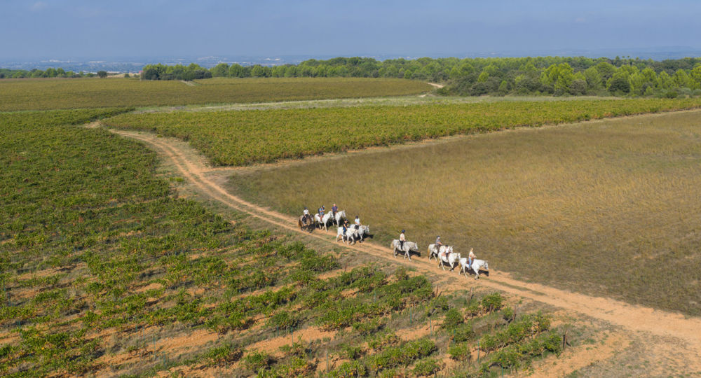 A cheval chez Théo_Beauvoisin