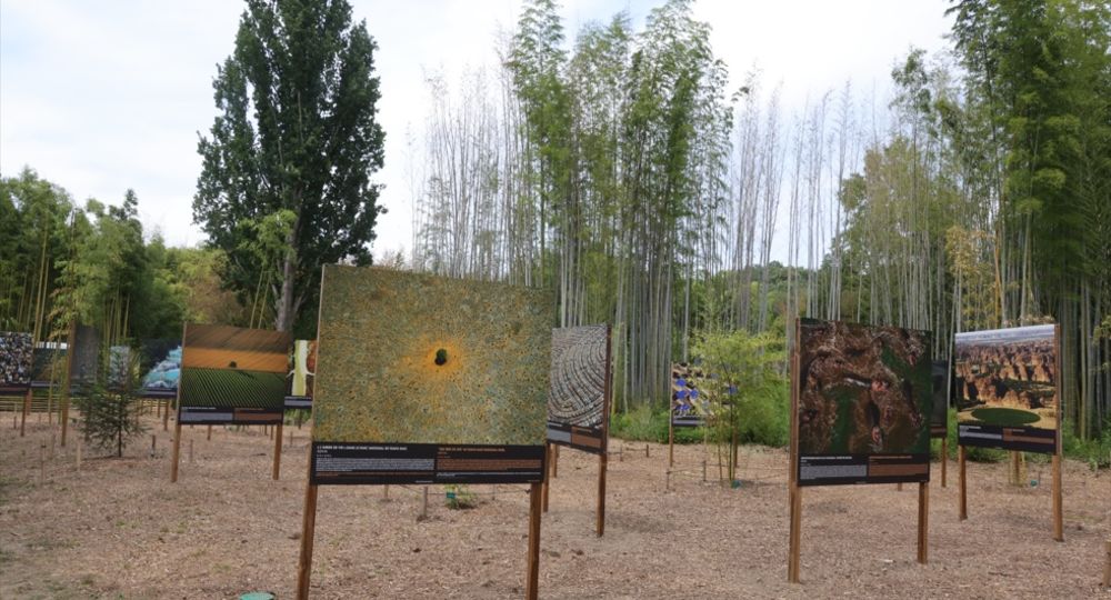 Jep 2026 : Exposition 