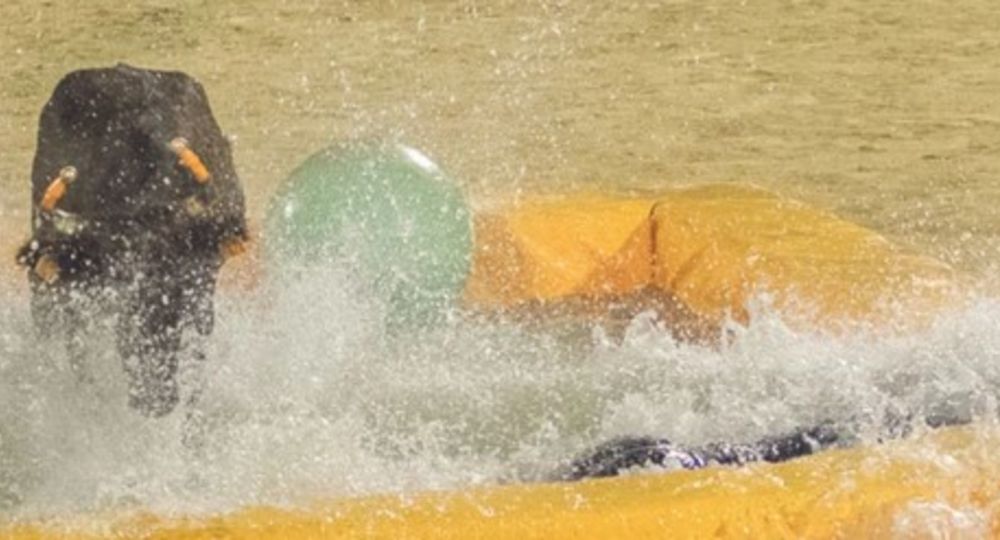 Taureau piscine