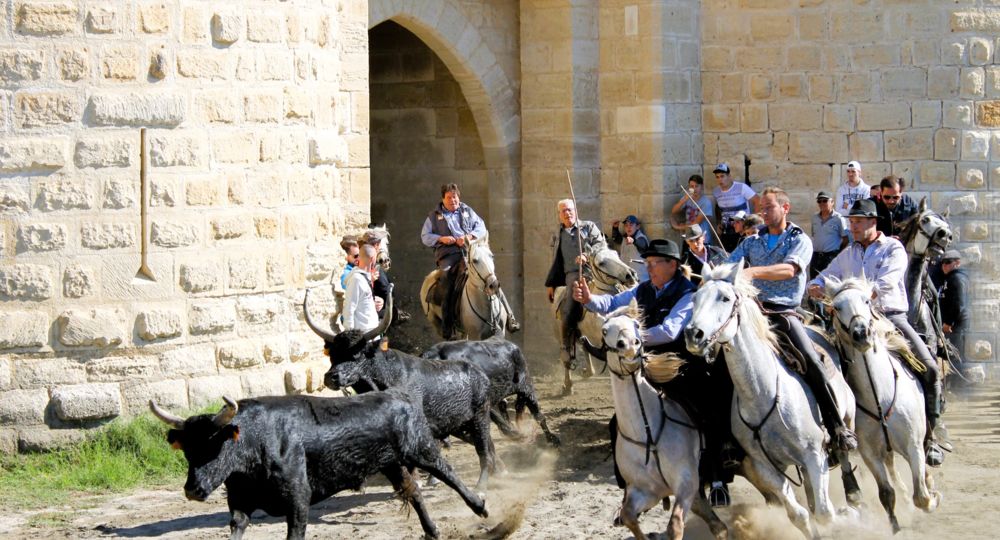 Aigues Mortes, la Cité_Aigues-Mortes