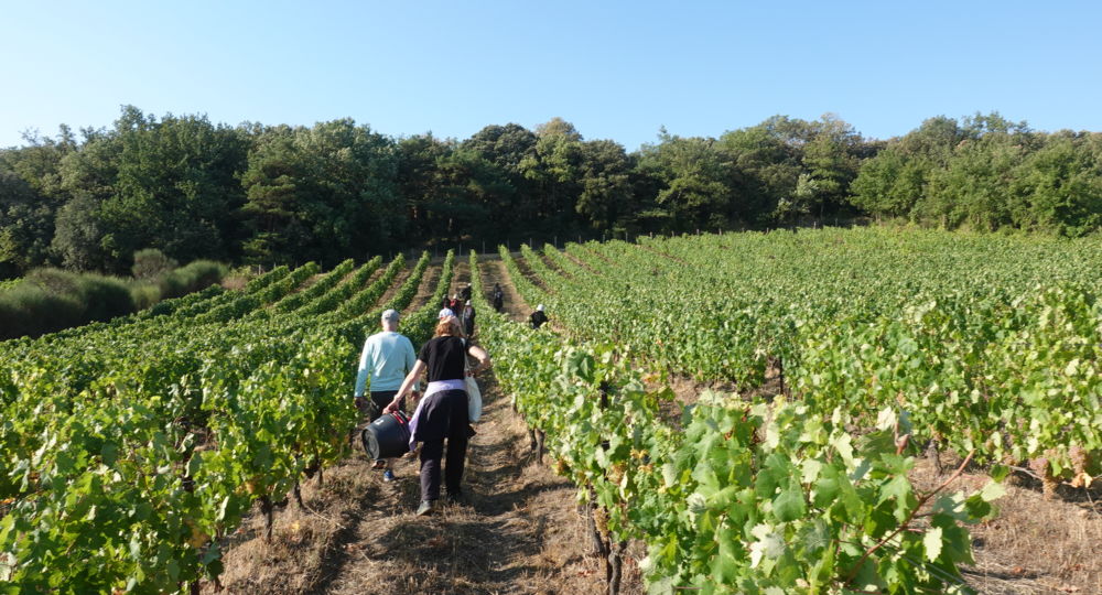 Entre ciel et terroir - Avril en Balade 2026_La Bastide-d'Engras