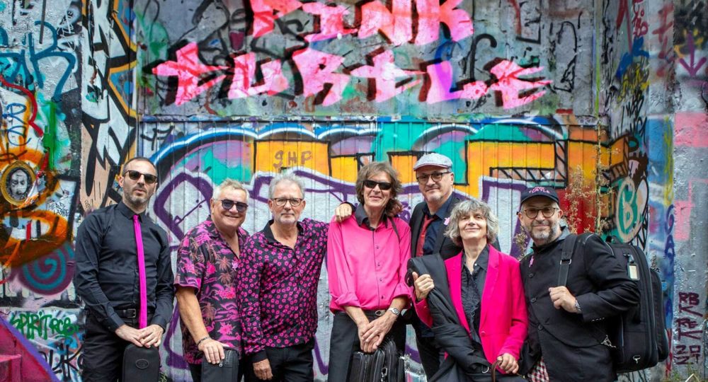 Concert - Pink Turtle_Alès