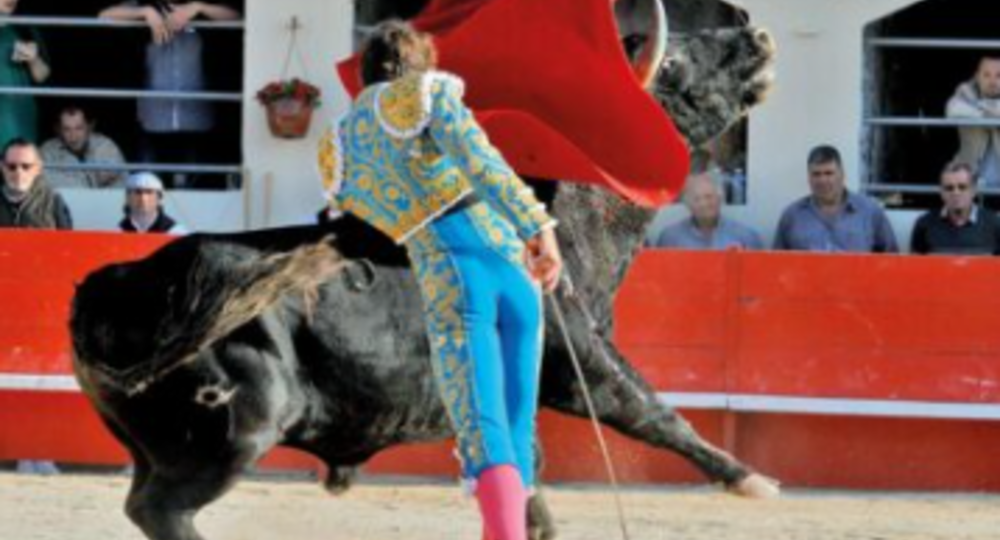 Féria d'Alès - Grande Corrida_Alès