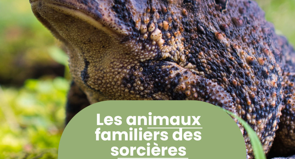 Rendez-vous Nature - Animations et balades gratuites à Saint-Chaptes