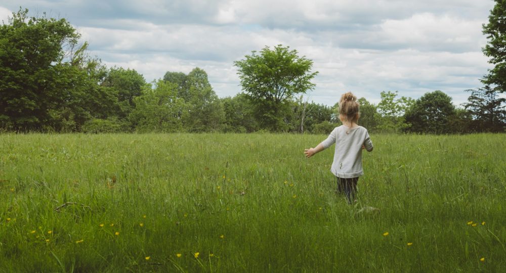 Balade atelier : sortir avec les enfants en nature