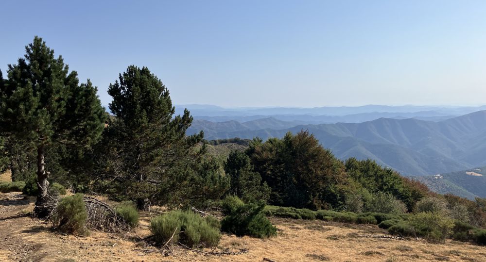 Vue depuis la Luzette