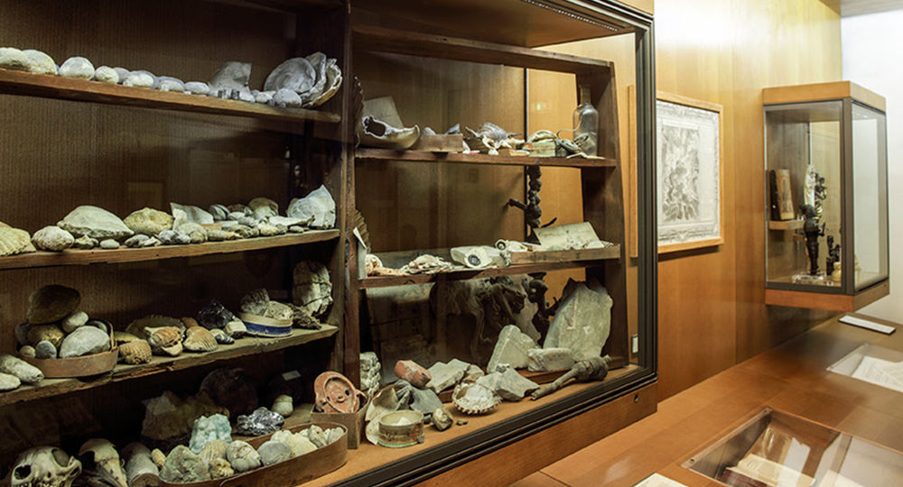 Atelier famille au musée «Fossiles et Monotype»_Pont-Saint-Esprit