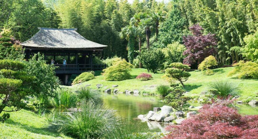 Exposition : “Arts & Nature”