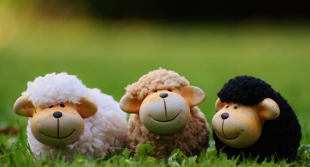 Recycl'art parents enfants_Uzès