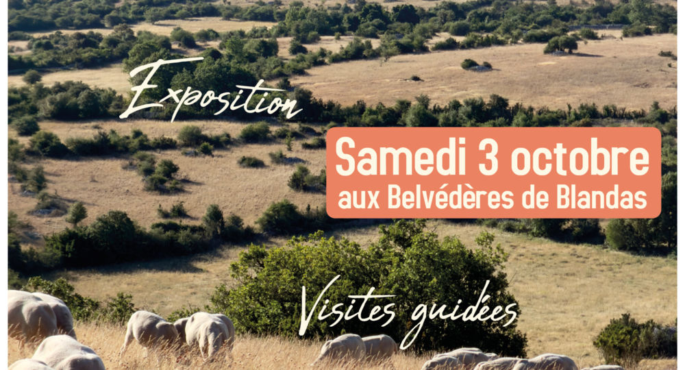 Journée de l'Agropastoralisme_Blandas