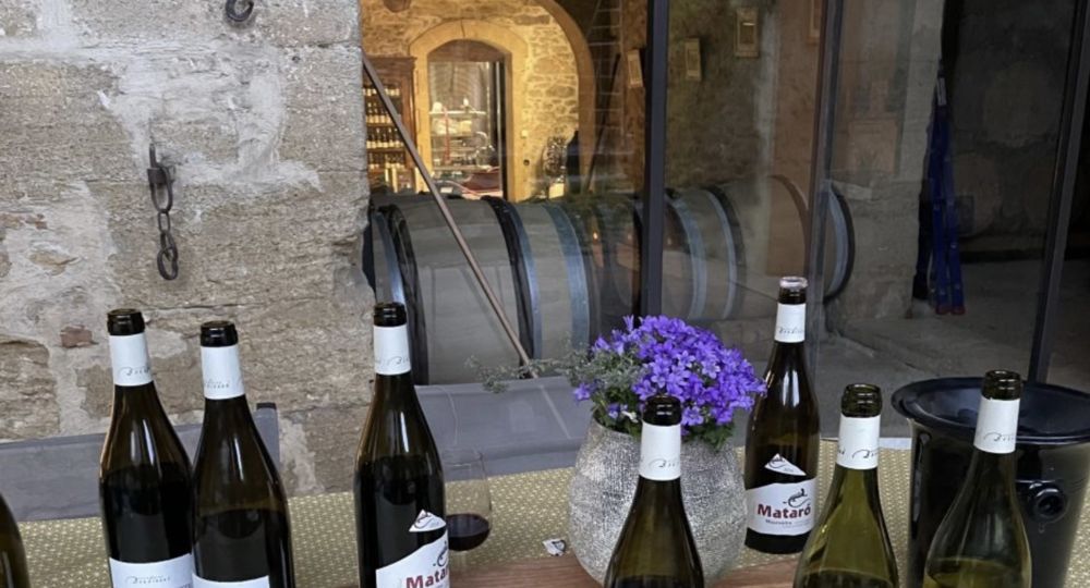 Vignobles Boudinaud