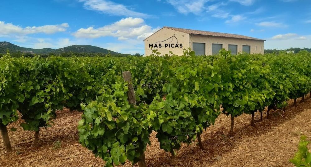 Domaine Mas Picas