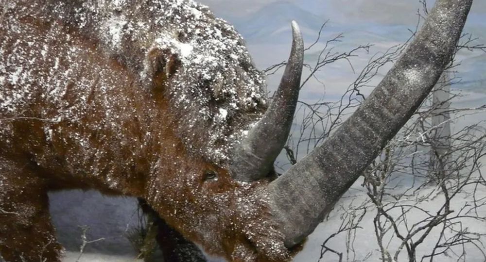 Journées européennes du patrimoine