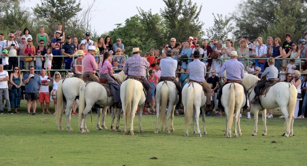 Matinée camarguaise