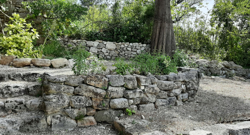 Gîtes Clos Cèze Art : Succulentes