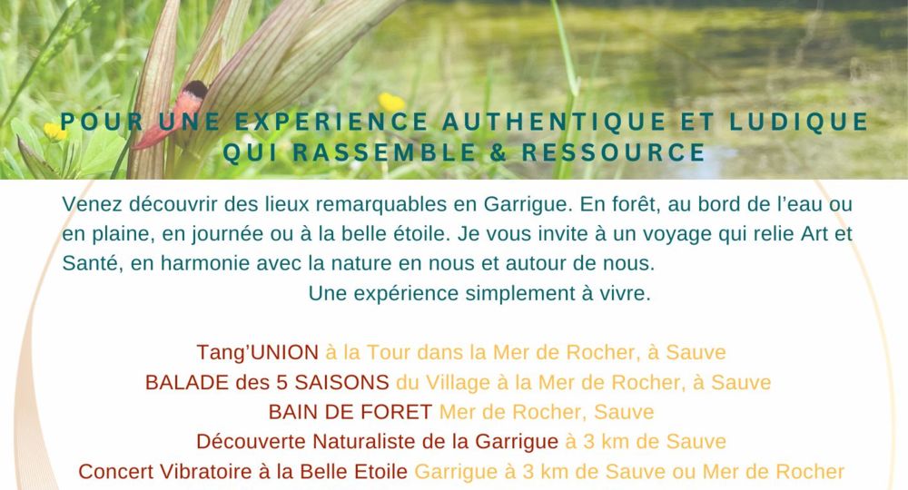 Séverine Müller - Art de vie_Sauve