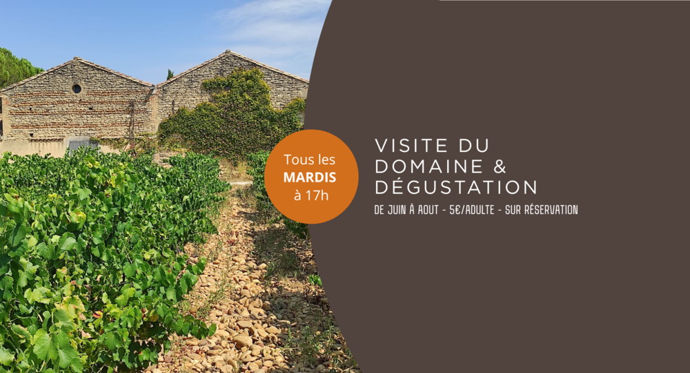 Visite du Domaine Lespina et Dégustation_Domazan