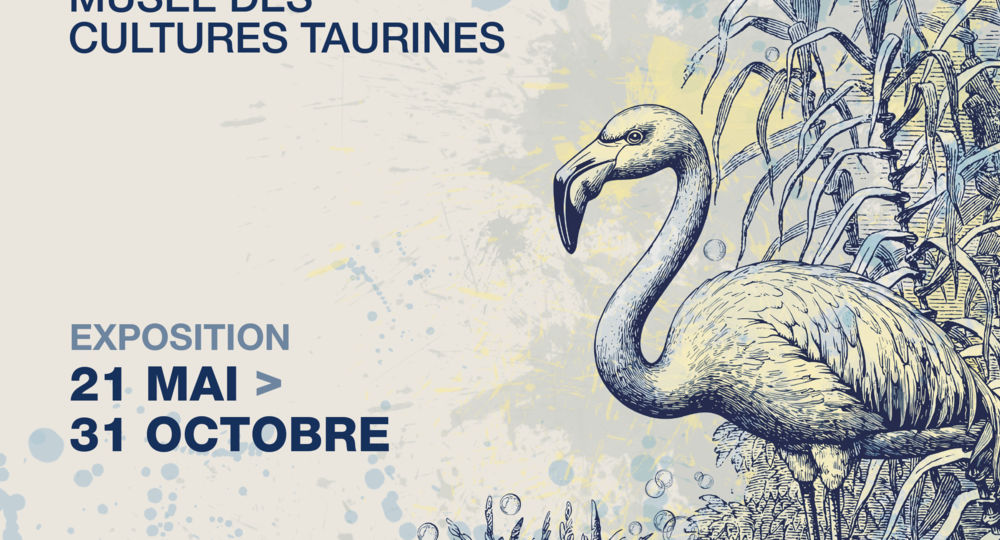 Camargue, Terre d'eaux_Nîmes