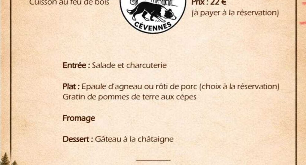 Concours national de chiens de bergers sur brebis_Concoules