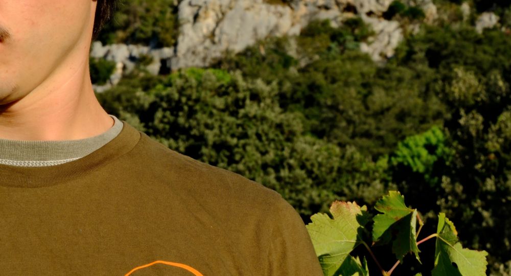 Vignobles Boudinaud