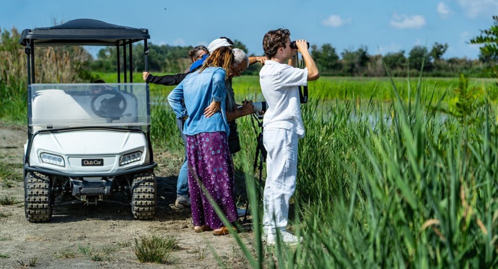 Visite - Safari en voiturette électrique dans la réserve du Petit Rhône_Vauvert