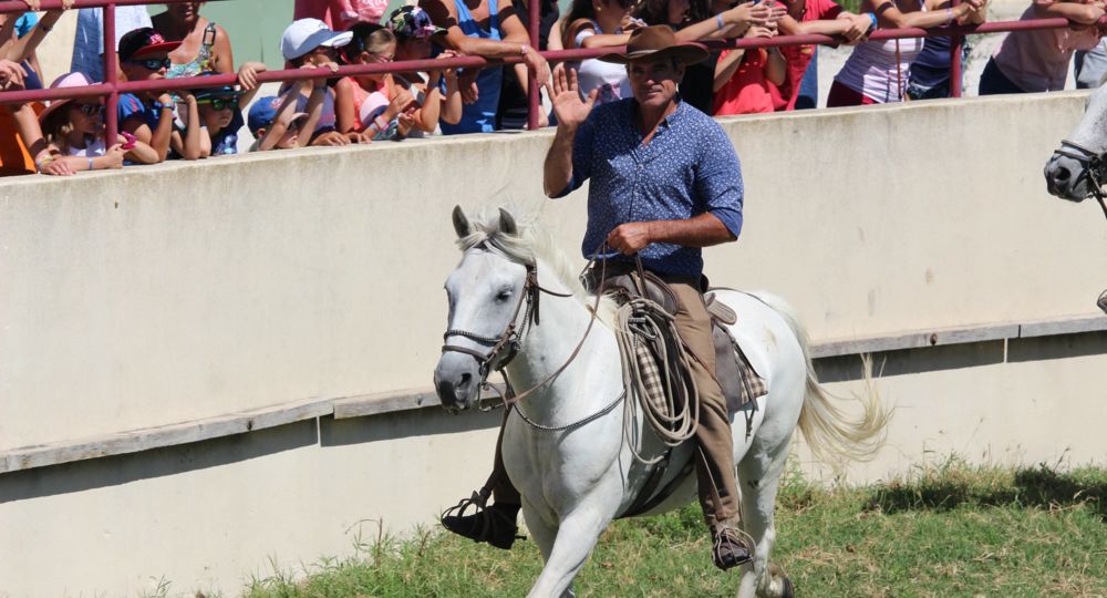 Matinée camarguaise