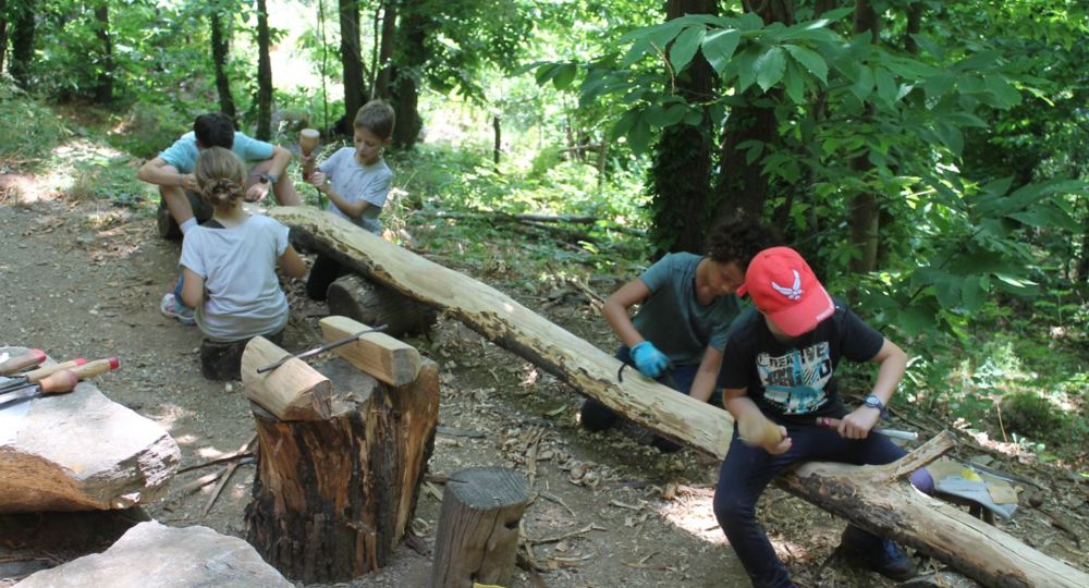Stages en forêt de 8 à 18 ans_Malons-et-Elze