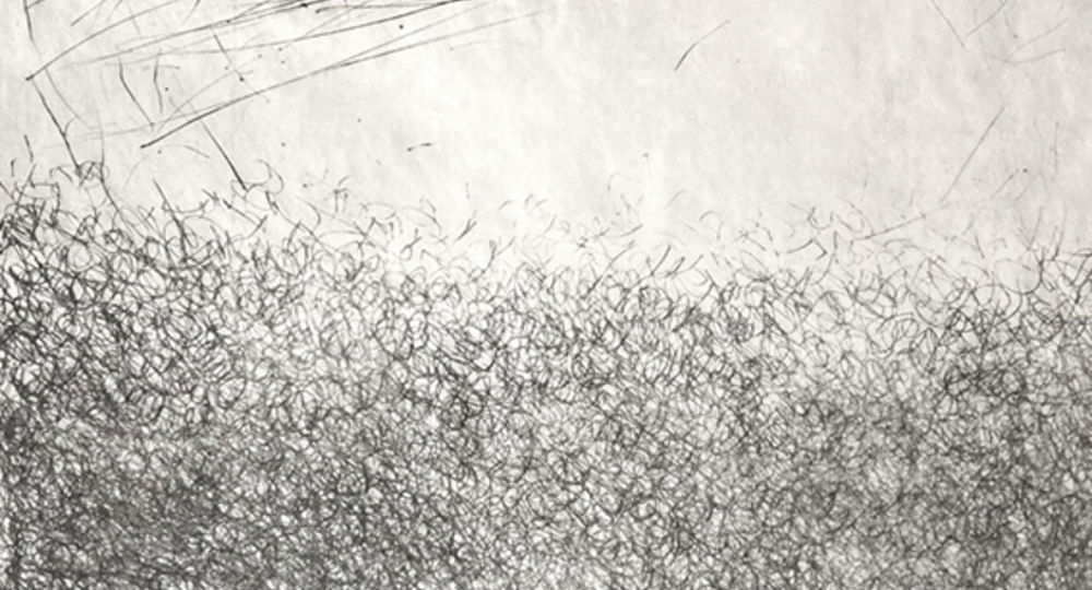 Eve Luquet - Artiste (Gravure et dessin)_Sauve